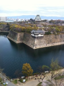 大阪城の桜