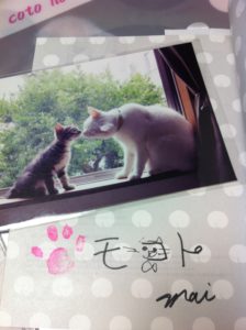 コトのおちりサイン